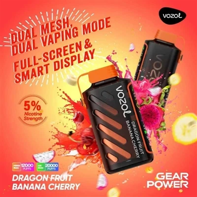 Kakšen je pregled Vozol Gear Power?