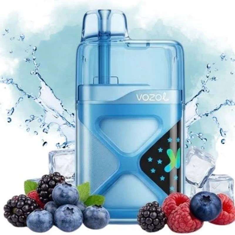 vozol Neon 60K 8