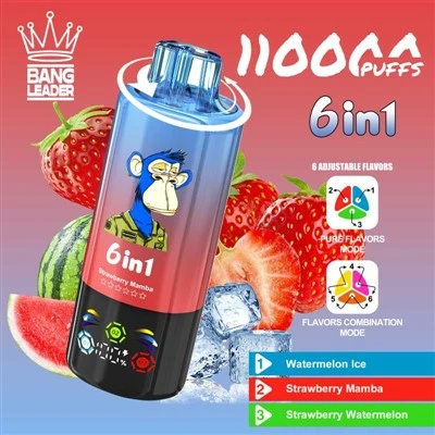 Vodja Bang 110k puffs