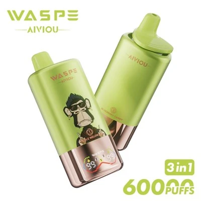 Wasspe aiviou 60K