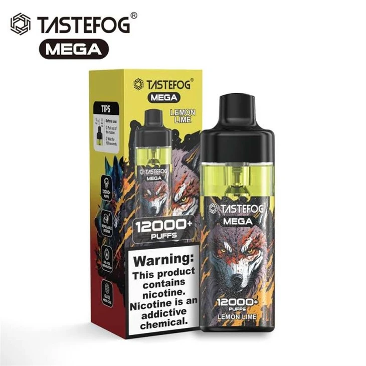 TASTEFOG MEGA 12000 1